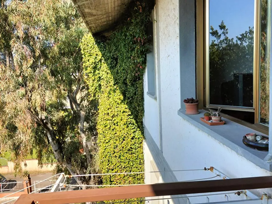 Immagine 18 di Appartamento in vendita  a Massa