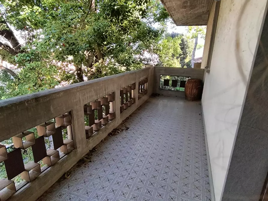 Immagine 14 di Appartamento in vendita  a Massa