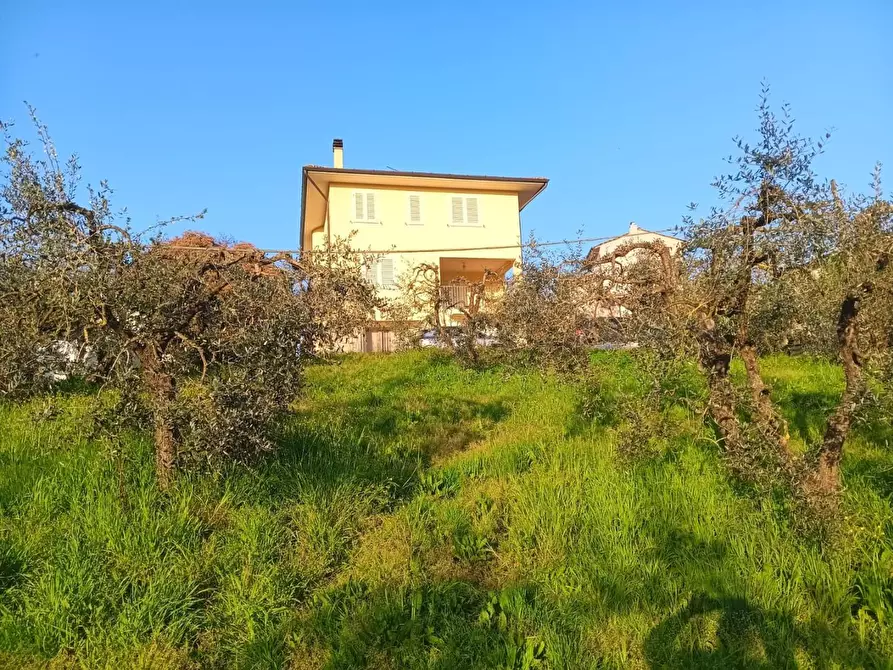 Immagine 28 di Casa indipendente in vendita  a Santa Maria A Monte