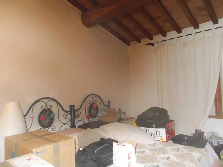 Immagine 24 di Appartamento in affitto  a Pontedera