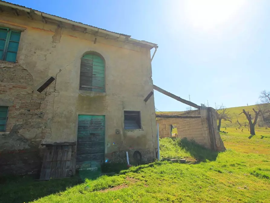 Immagine 8 di Casa colonica in vendita  a Empoli