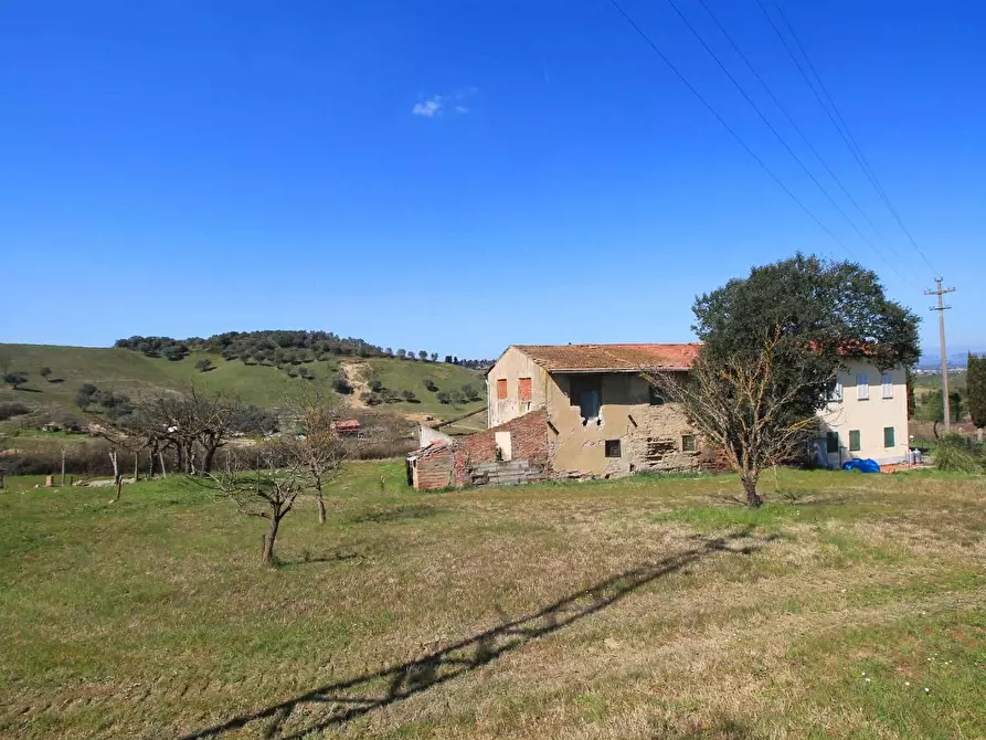 Immagine 5 di Casa colonica in vendita  a Empoli