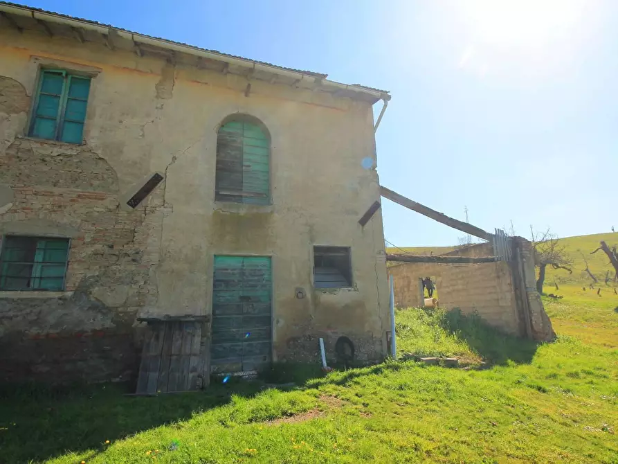 Immagine 3 di Casa colonica in vendita  a Empoli