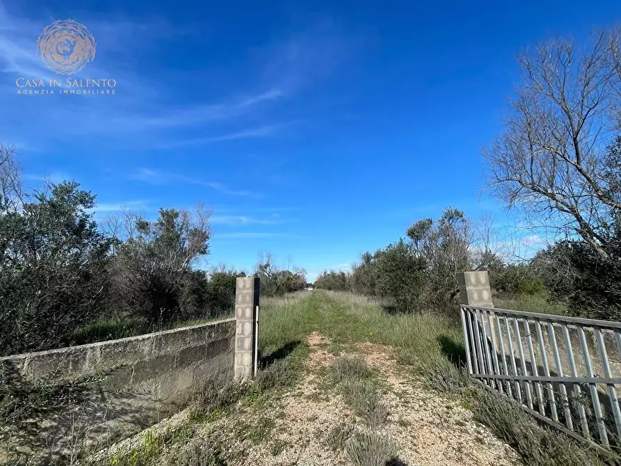 Immagine 3 di Terreno agricolo in vendita  a Alessano