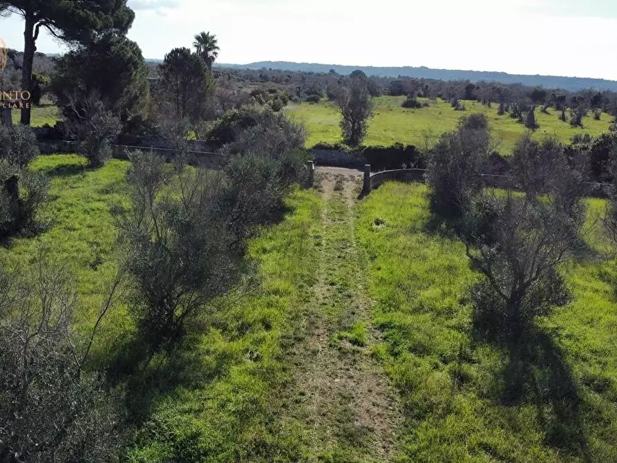 Immagine 9 di Terreno agricolo in vendita  a Alessano