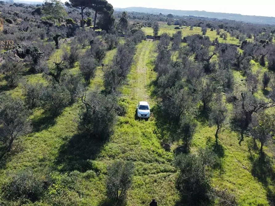 Immagine 17 di Terreno agricolo in vendita  a Alessano