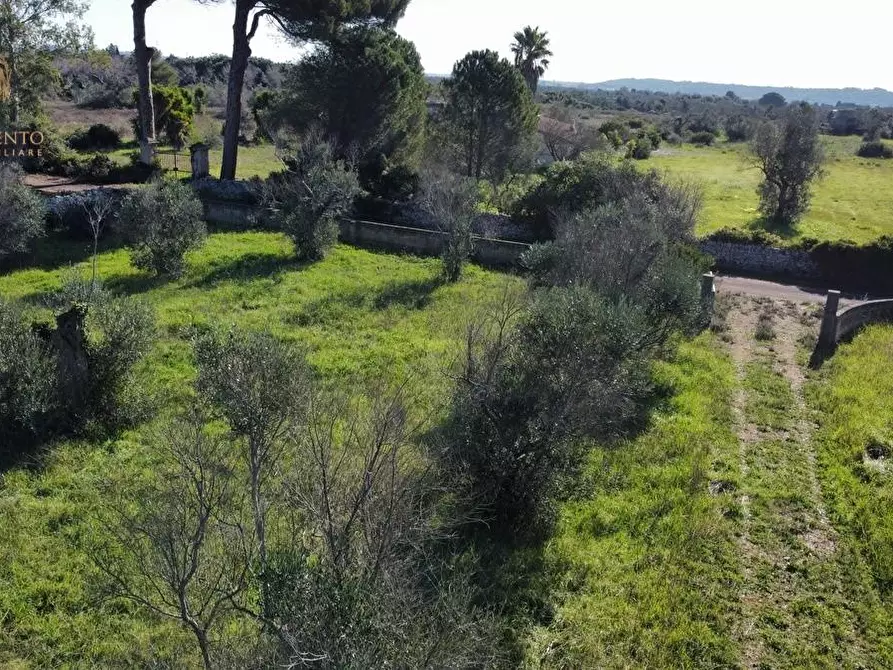 Immagine 10 di Terreno agricolo in vendita  a Alessano
