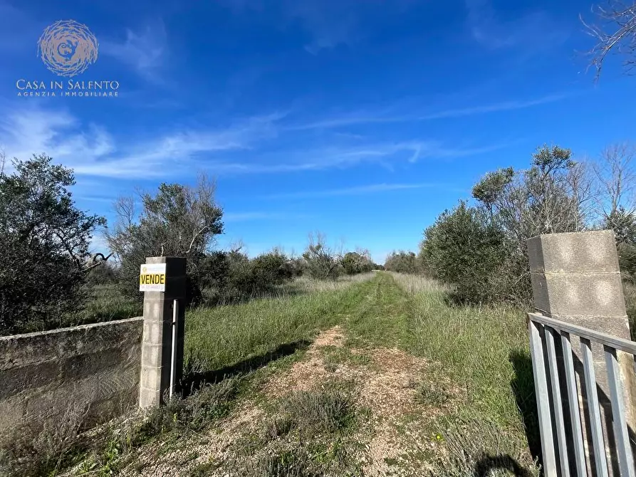 Immagine 20 di Terreno agricolo in vendita  a Alessano