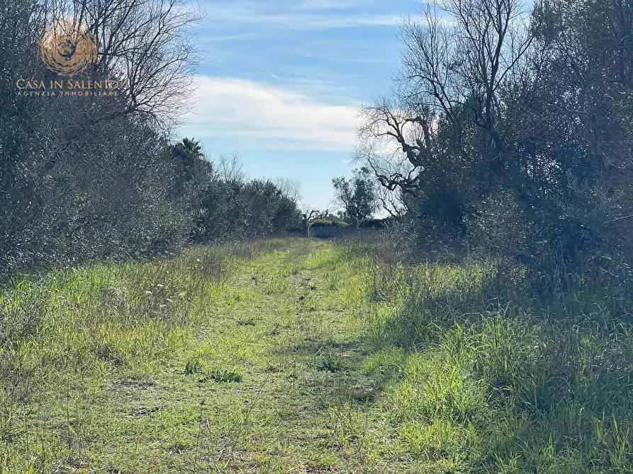 Immagine 19 di Terreno agricolo in vendita  a Alessano