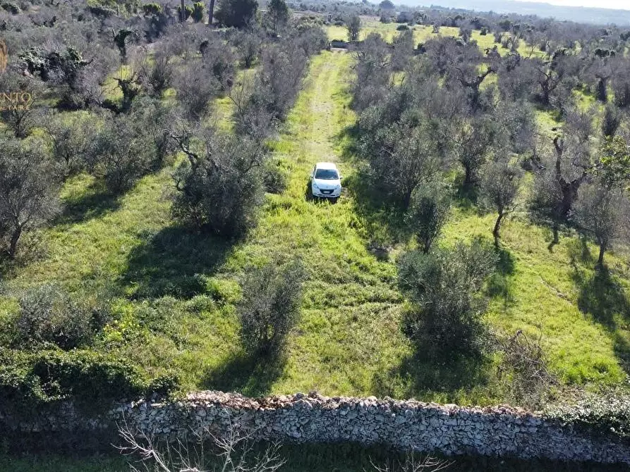 Immagine 13 di Terreno agricolo in vendita  a Alessano