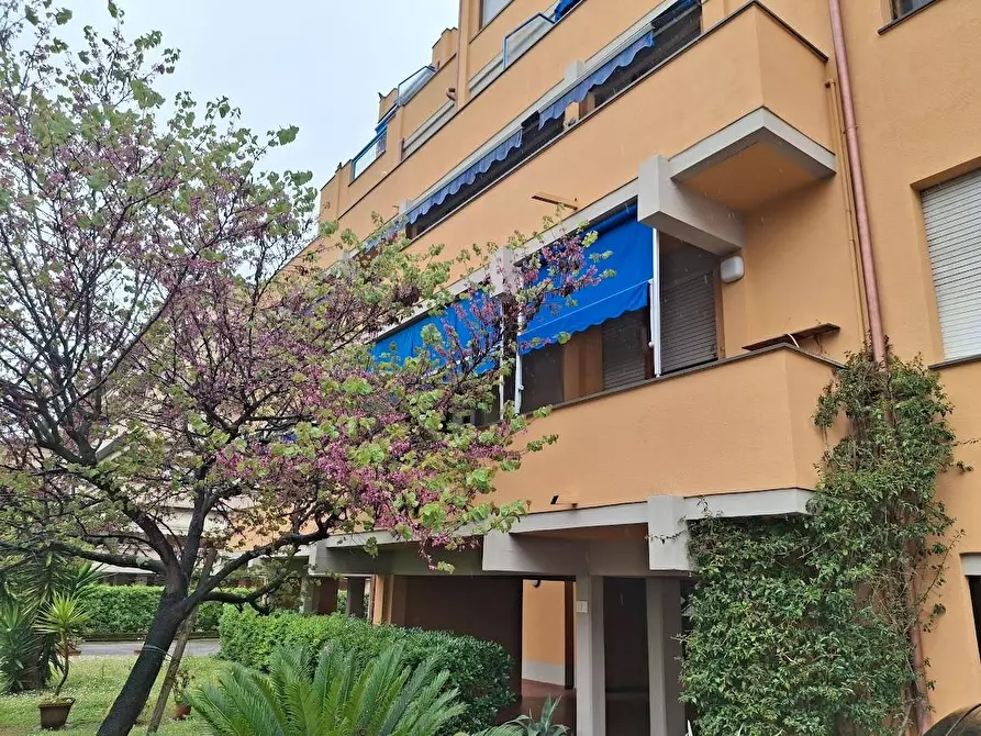 Immagine 18 di Appartamento in vendita  a Pisa