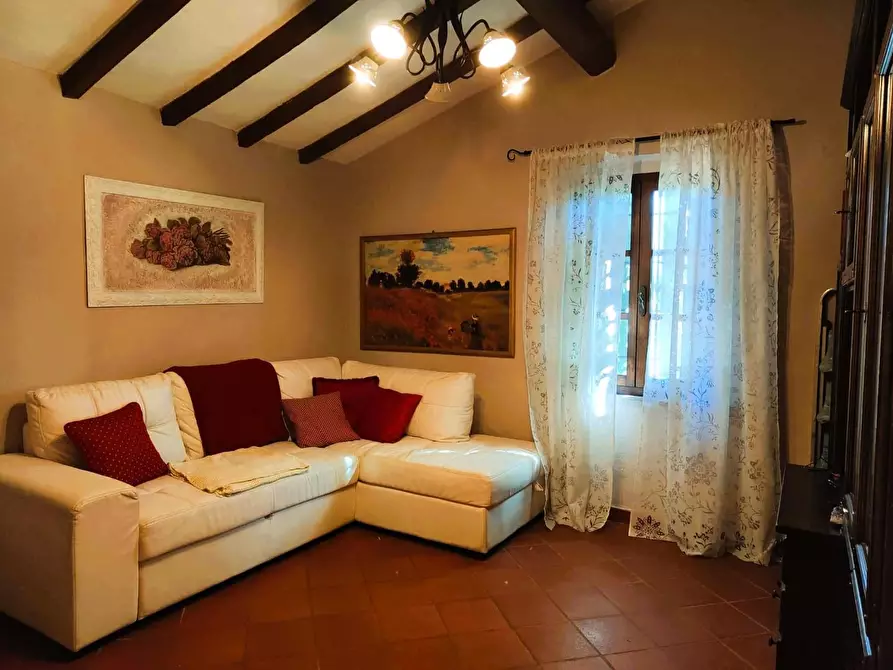 Immagine 23 di Rustico / casale in vendita  a Crespina Lorenzana