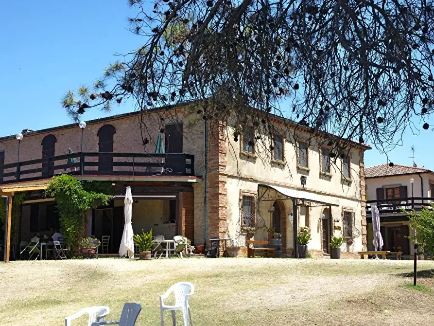 Immagine 4 di Casa colonica in vendita  a Pomarance