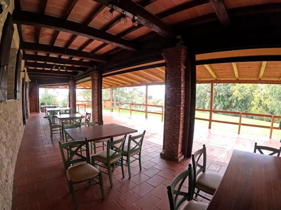 Immagine 19 di Casa colonica in vendita  a Pomarance