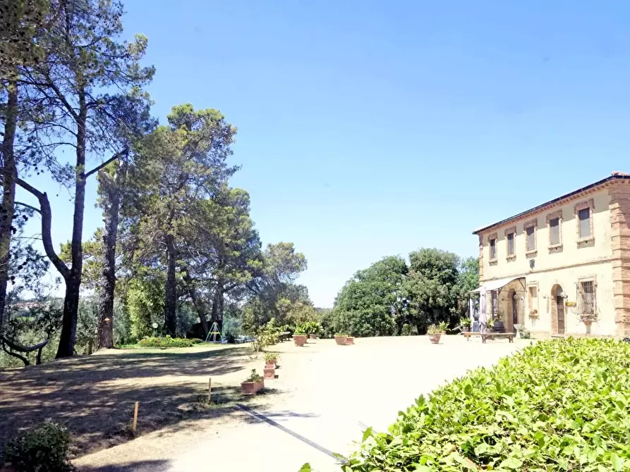 Immagine 5 di Casa colonica in vendita  a Pomarance