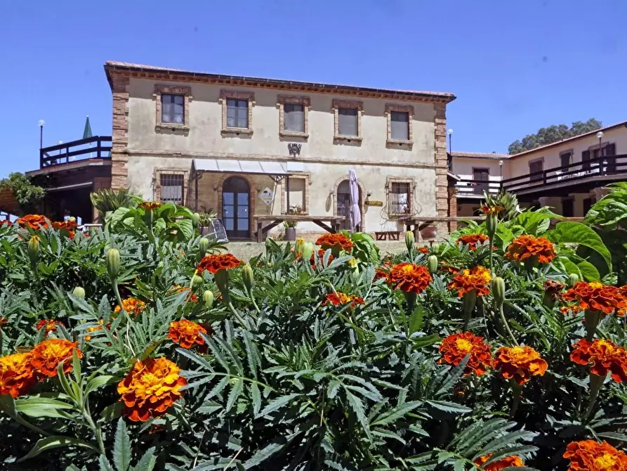 Immagine 2 di Casa colonica in vendita  a Pomarance