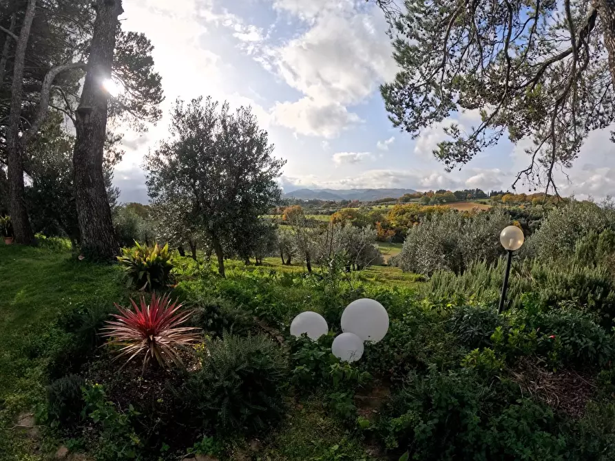 Immagine 15 di Casa colonica in vendita  a Pomarance