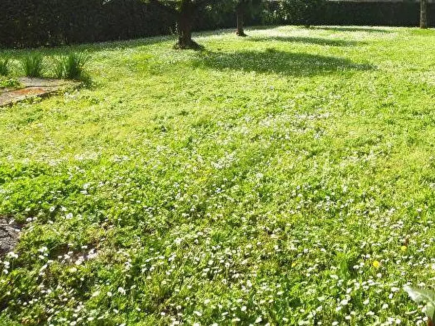 Immagine 30 di Porzione di casa in vendita  a Capannori