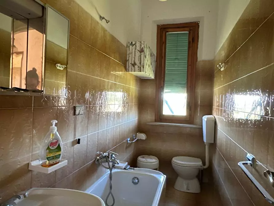 Immagine 39 di Terratetto in vendita  a San Miniato