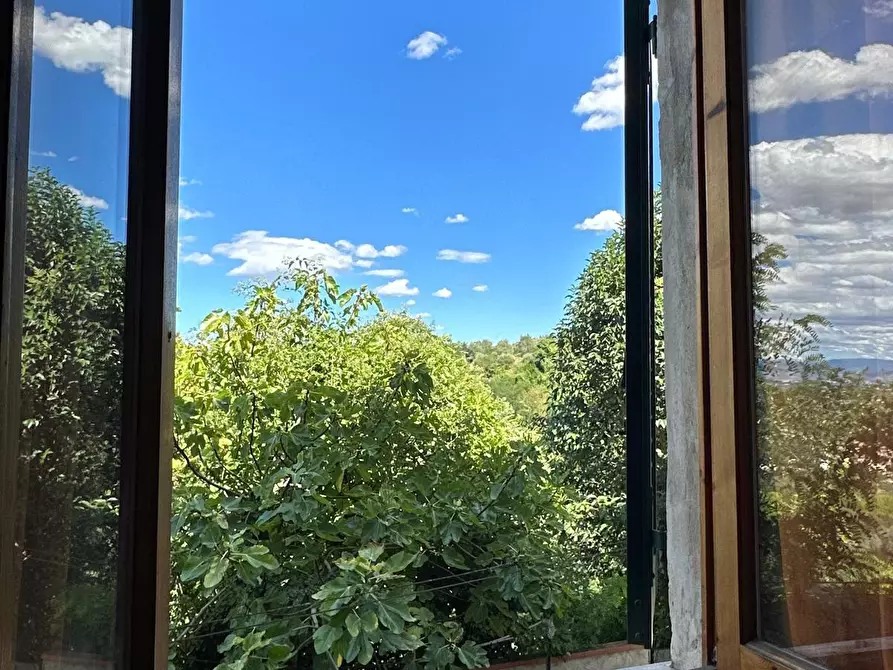 Immagine 11 di Terratetto in vendita  a San Miniato