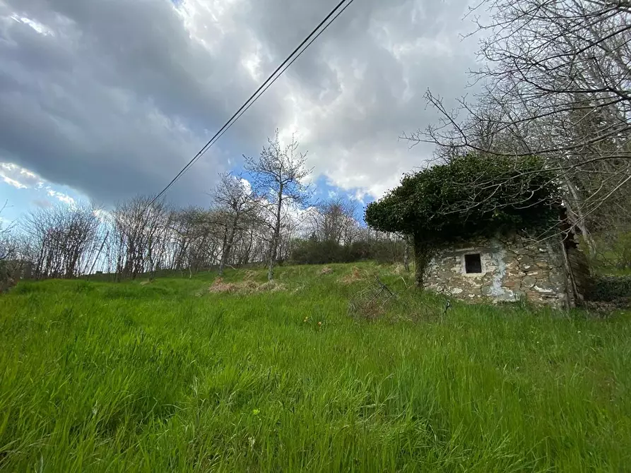 Immagine 22 di Casa indipendente in vendita  a Castiglione Di Garfagnana