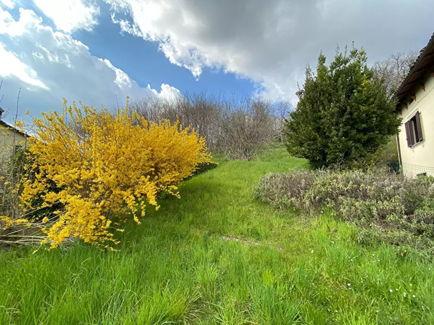 Immagine 18 di Casa indipendente in vendita  a Castiglione Di Garfagnana