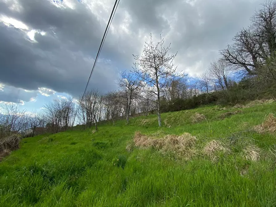 Immagine 21 di Casa indipendente in vendita  a Castiglione Di Garfagnana
