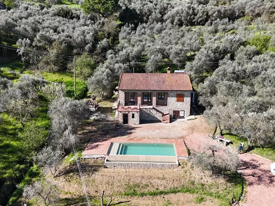 Immagine 4 di Rustico / casale in vendita  a Chianni