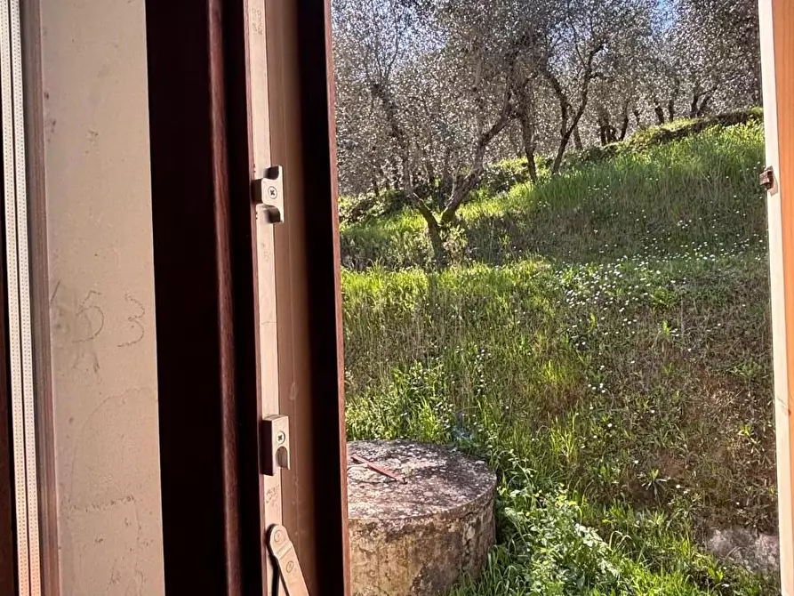 Immagine 22 di Rustico / casale in vendita  a Chianni