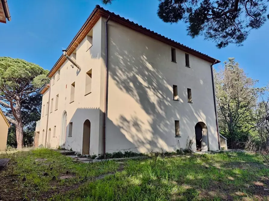 Immagine 5 di Rustico / casale in vendita  a Casciana Terme Lari