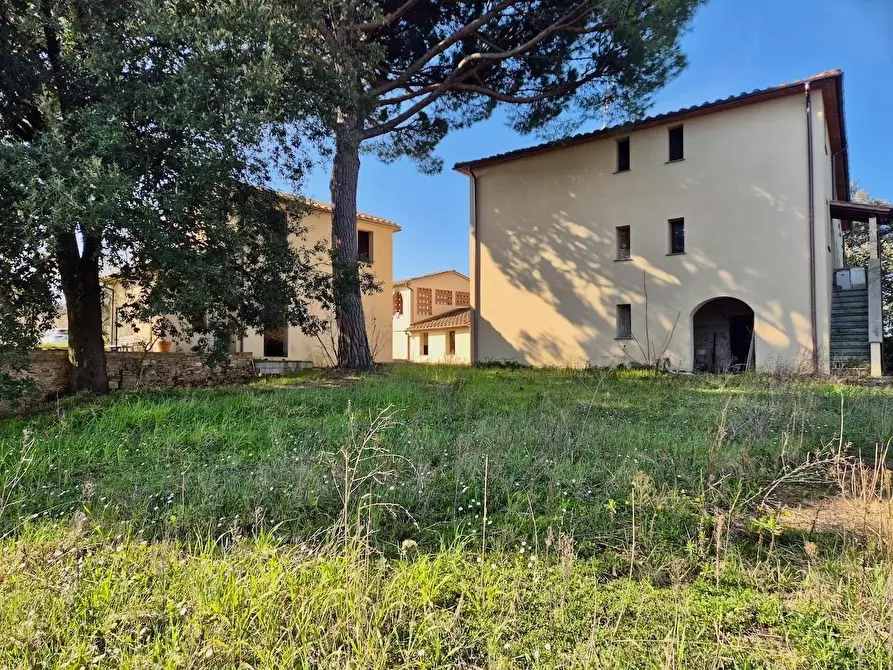 Immagine 19 di Rustico / casale in vendita  a Casciana Terme Lari