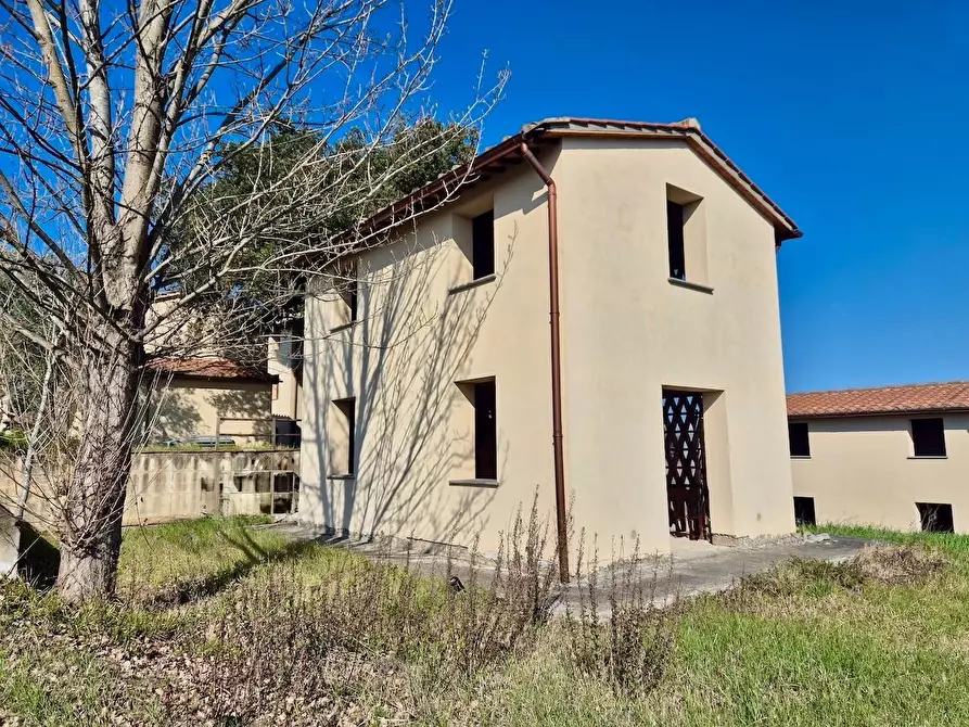 Immagine 11 di Rustico / casale in vendita  a Casciana Terme Lari