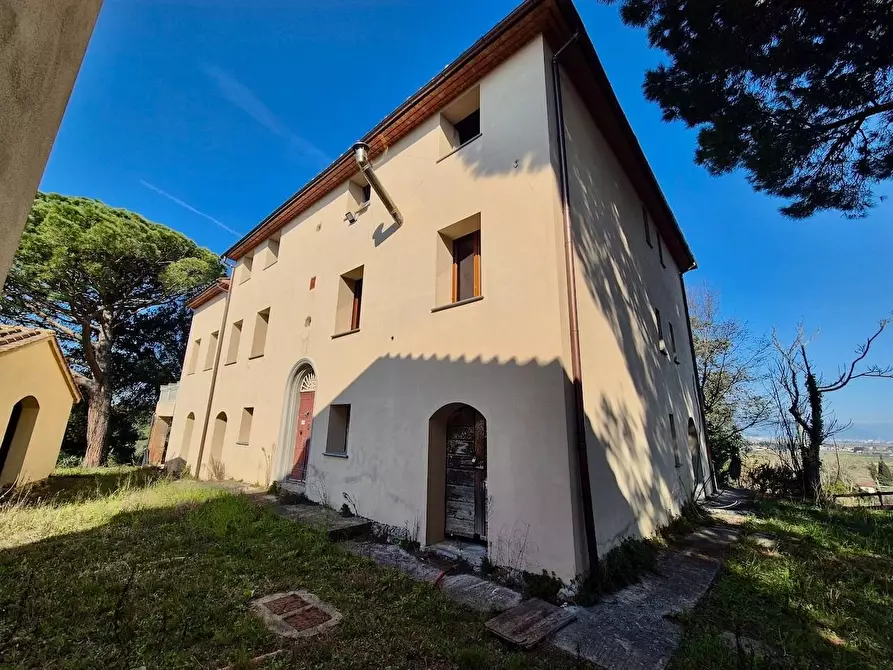 Immagine 4 di Rustico / casale in vendita  a Casciana Terme Lari