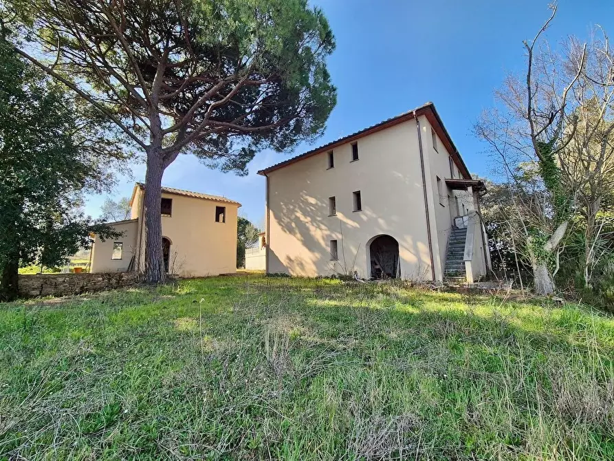 Immagine 6 di Rustico / casale in vendita  a Casciana Terme Lari