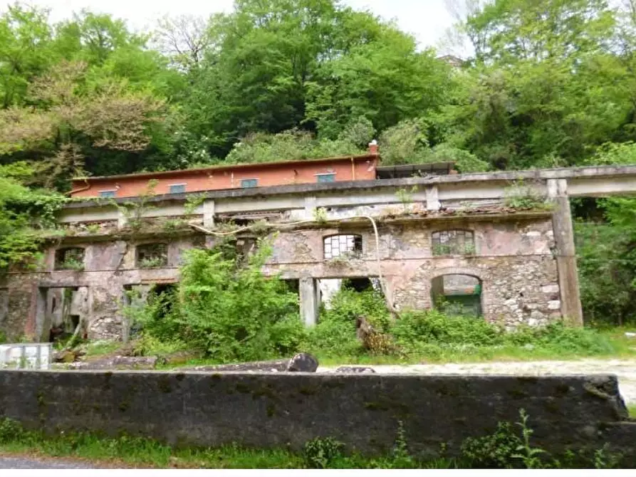 Immagine 1 di Attività artigianale in vendita  a Carrara