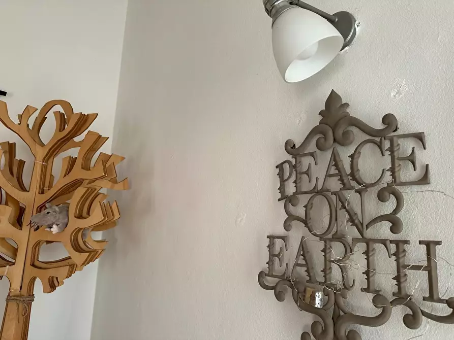 Immagine 23 di Terratetto in vendita  a Viareggio