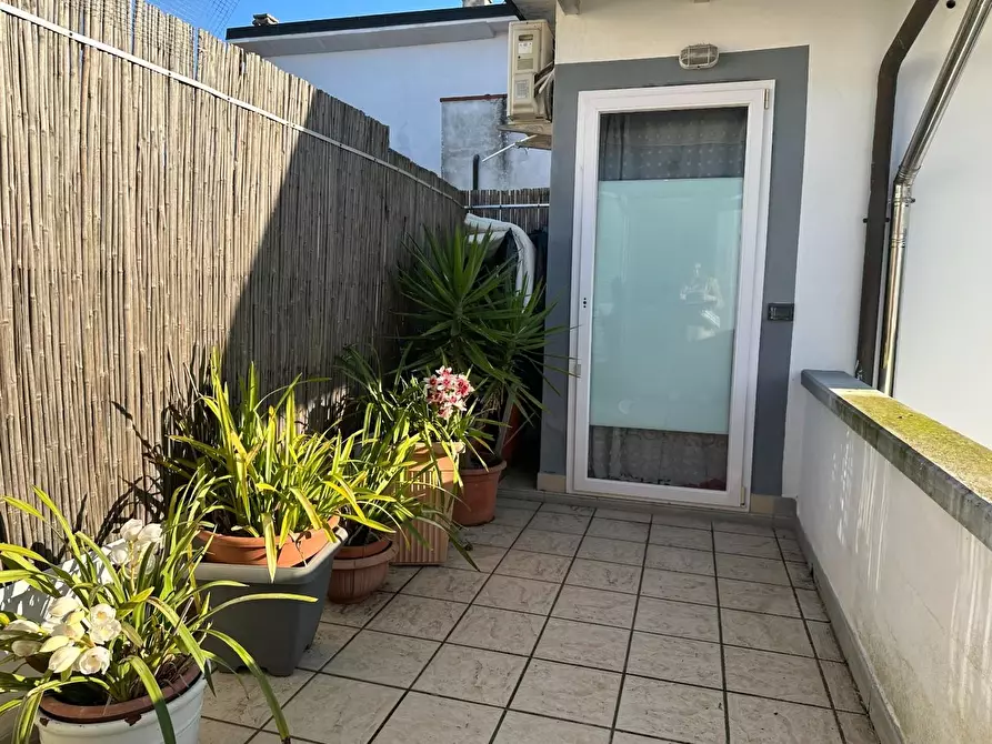 Immagine 16 di Terratetto in vendita  a Viareggio