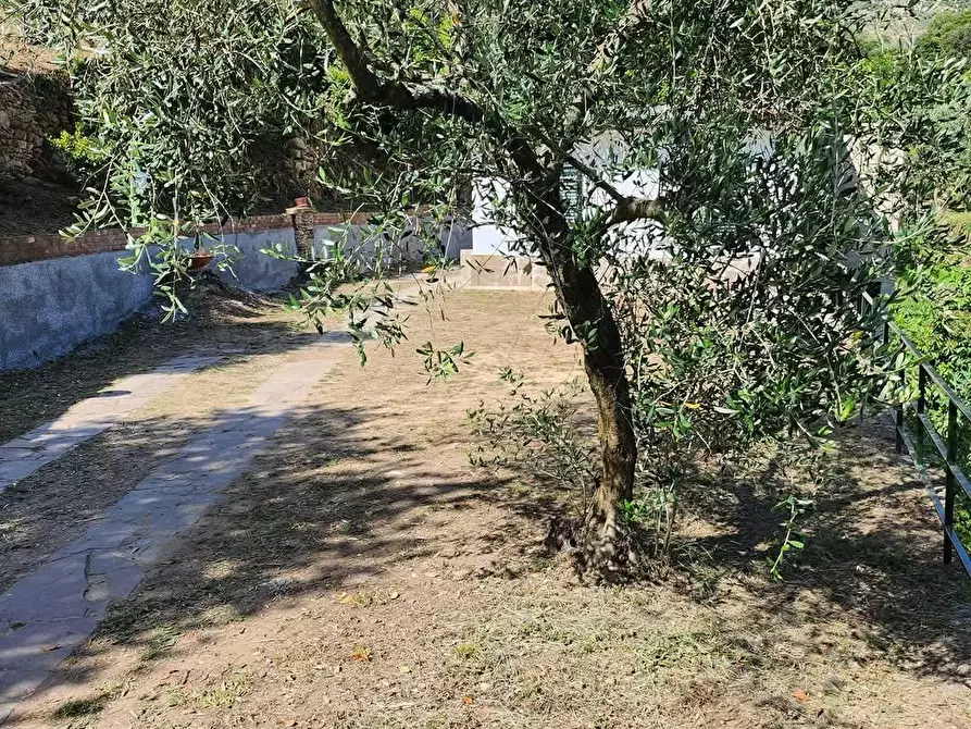 Immagine 18 di Casa indipendente in vendita  a Calci