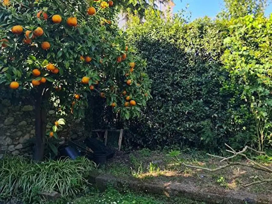 Immagine 38 di Villa in vendita  a Carrara