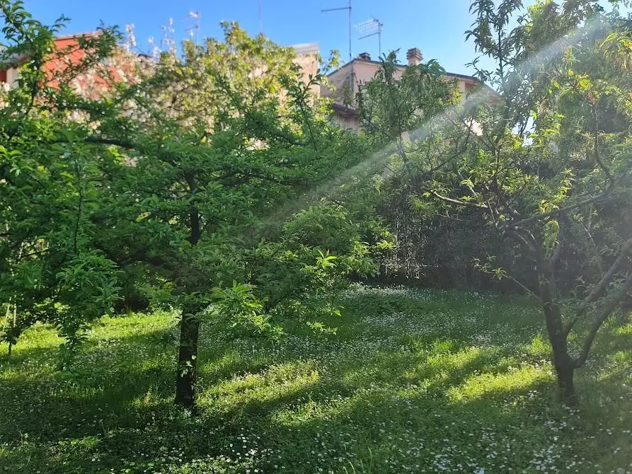 Immagine 35 di Villa in vendita  a Carrara