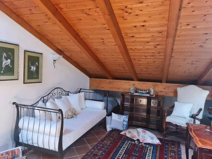 Immagine 21 di Villa in vendita  a Carrara