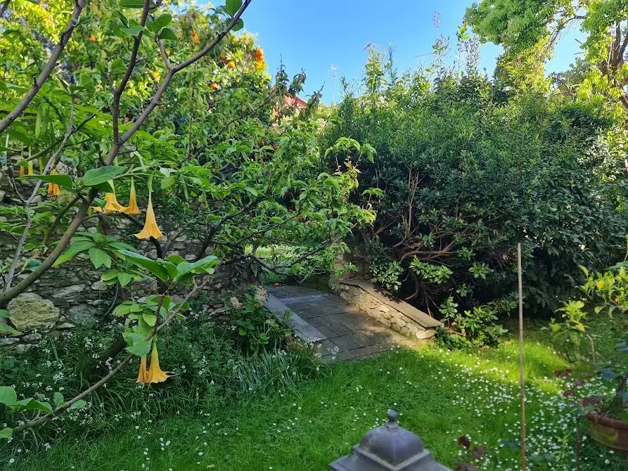 Immagine 33 di Villa in vendita  a Carrara