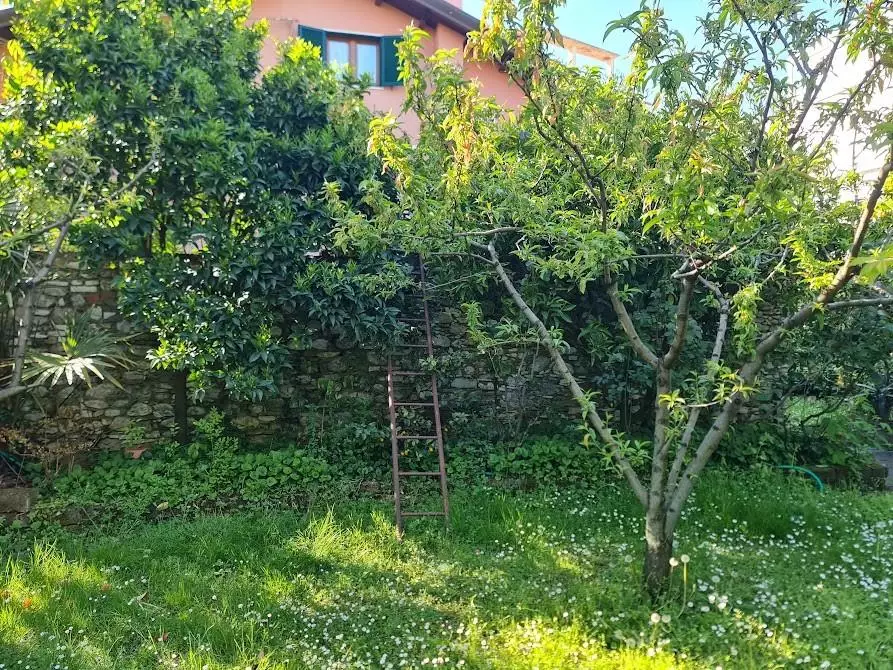 Immagine 36 di Villa in vendita  a Carrara