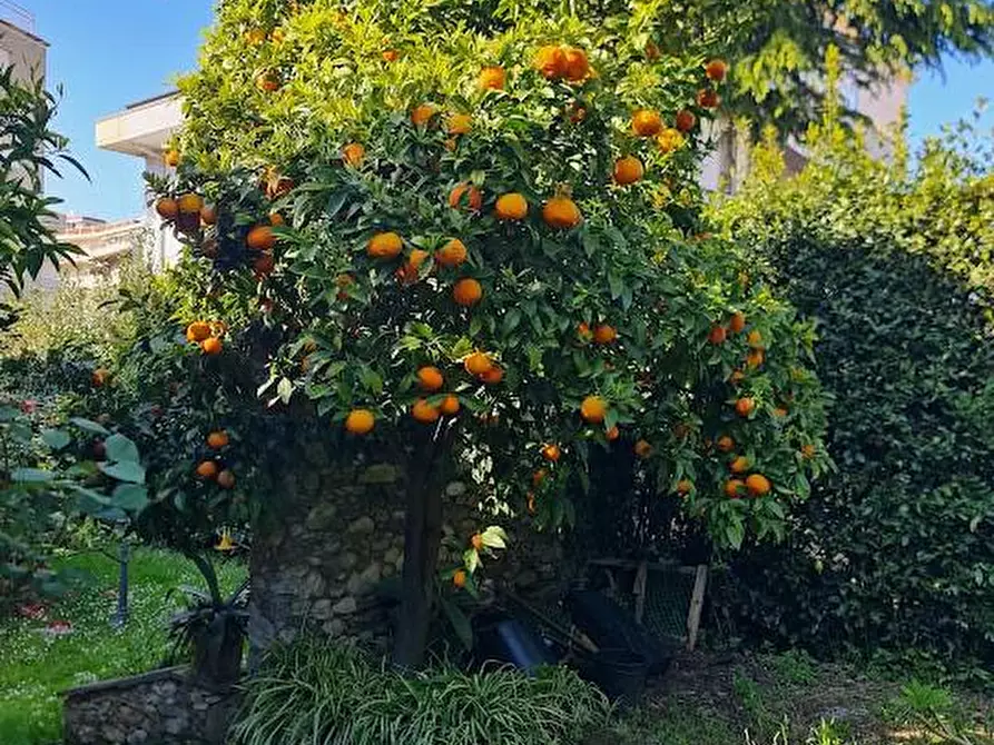 Immagine 37 di Villa in vendita  a Carrara