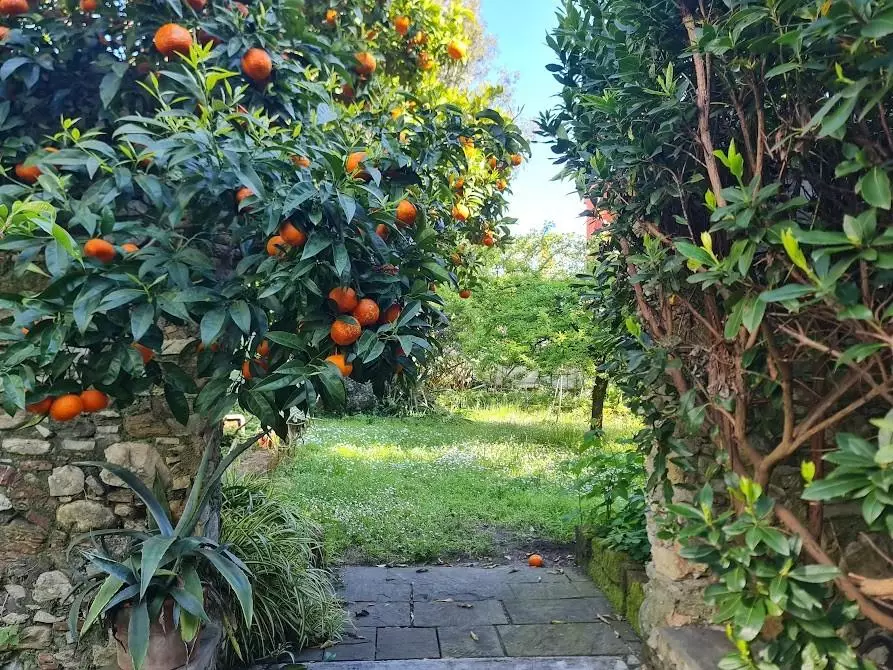 Immagine 34 di Villa in vendita  a Carrara