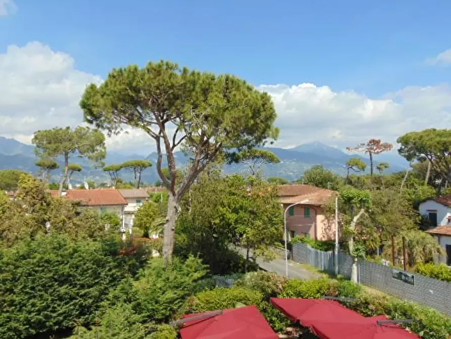 Immagine 18 di Appartamento in vendita  a Forte Dei Marmi