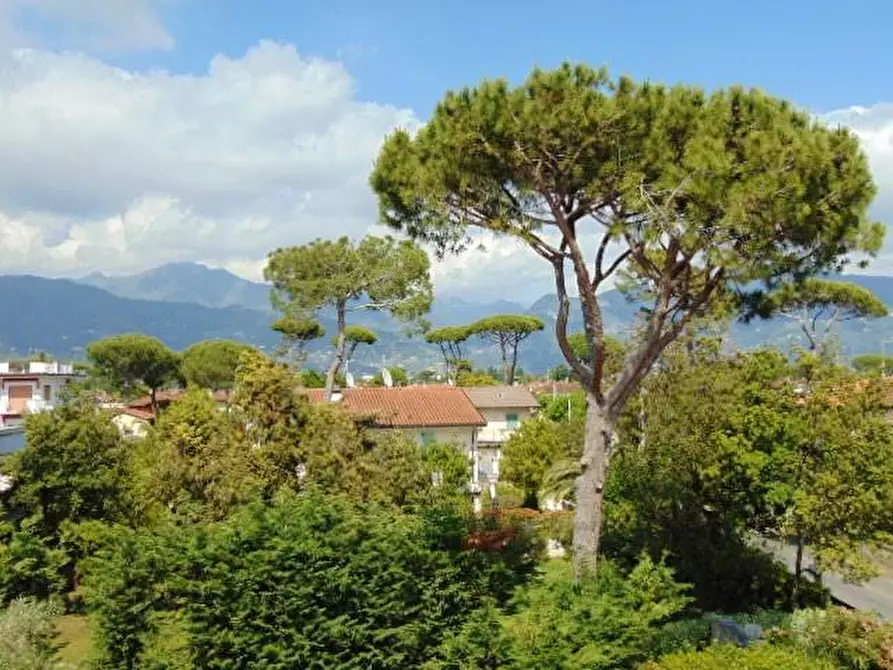 Immagine 17 di Appartamento in vendita  a Forte Dei Marmi