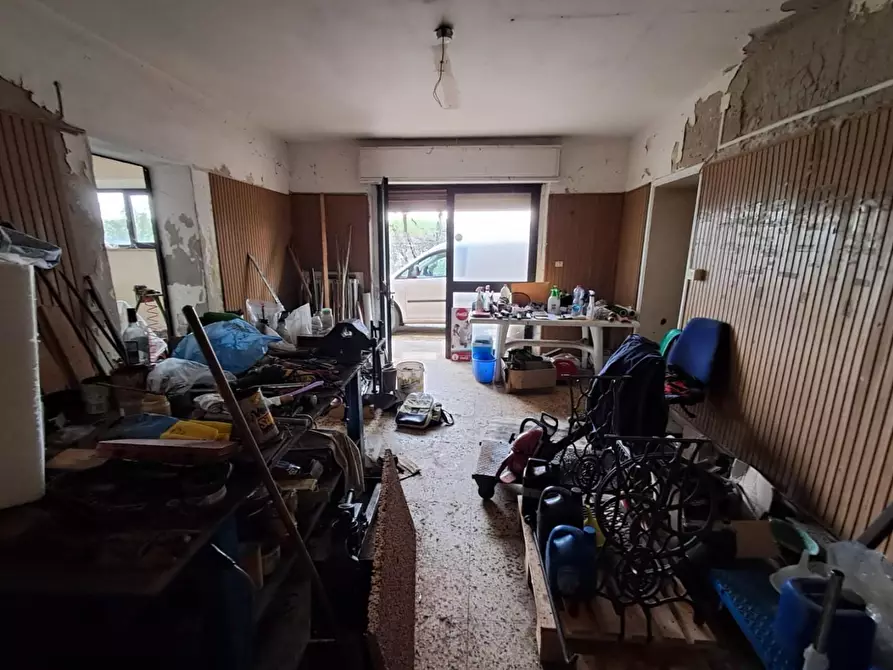 Immagine 17 di Terratetto in vendita  a Casciana Terme Lari