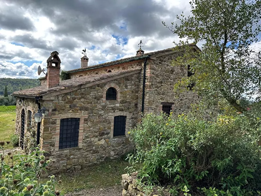 Immagine 9 di Casa colonica in vendita  a Suvereto