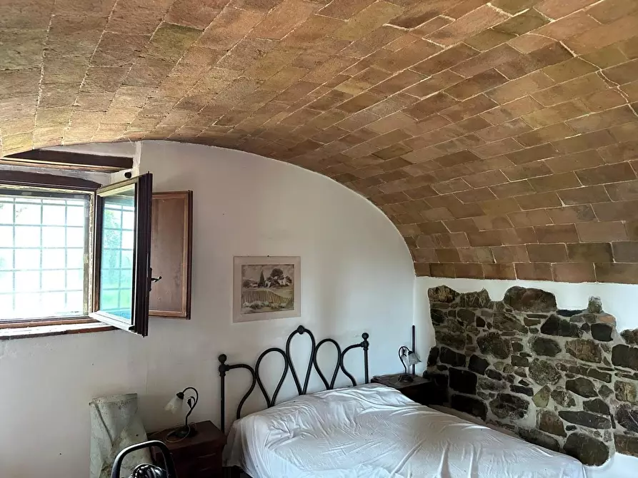 Immagine 21 di Casa colonica in vendita  a Suvereto